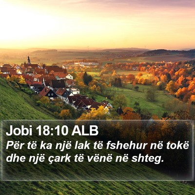 Jobi 18:10 ALB Bible Verse Image