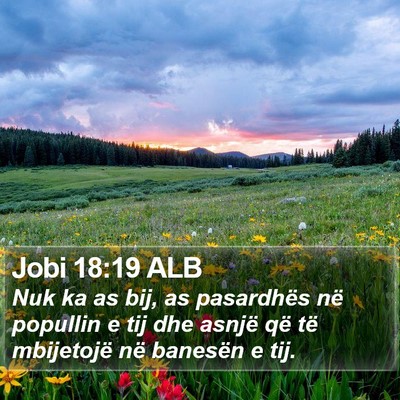 Jobi 18:19 ALB Bible Verse Image