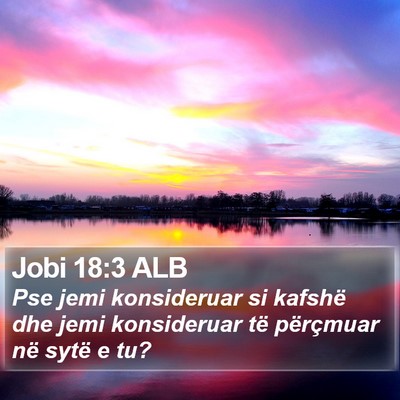 Jobi 18:3 ALB Bible Verse Image