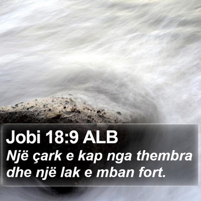 Jobi 18:9 ALB Bible Verse Image