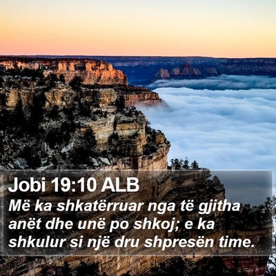Jobi 19:10 ALB Bible Verse Image
