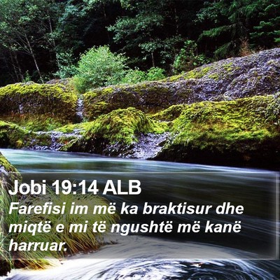 Jobi 19:14 ALB Bible Verse Image