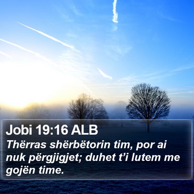 Jobi 19:16 ALB Bible Verse Image