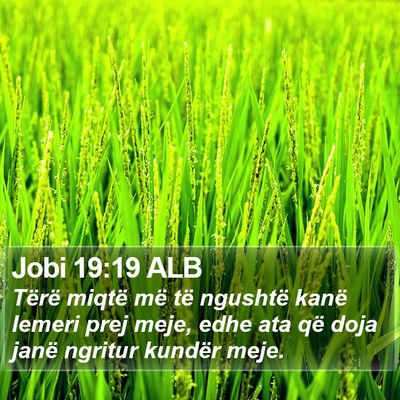 Jobi 19:19 ALB Bible Verse Image