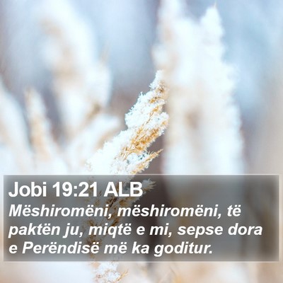 Jobi 19:21 ALB Bible Verse Image