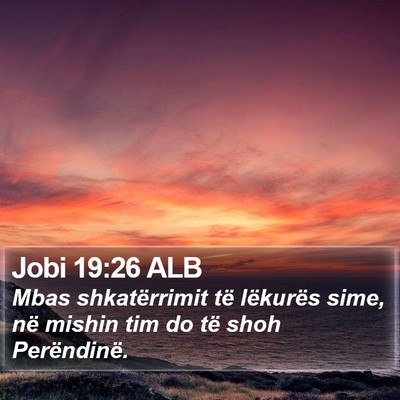 Jobi 19:26 ALB Bible Verse Image