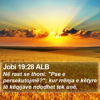 Jobi 19:28 ALB Bible Verse Image