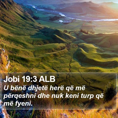 Jobi 19:3 ALB Bible Verse Image