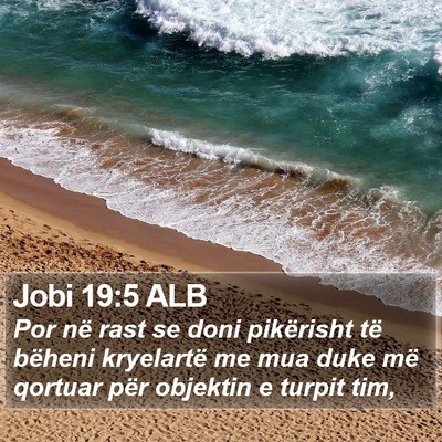 Jobi 19:5 ALB Bible Verse Image