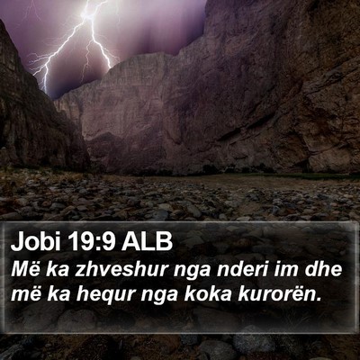 Jobi 19:9 ALB Bible Verse Image