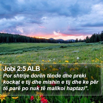 Jobi 2:5 ALB Bible Verse Image