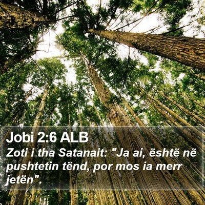 Jobi 2:6 ALB Bible Verse Image