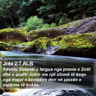 Jobi 2:7 ALB Bible Verse Image