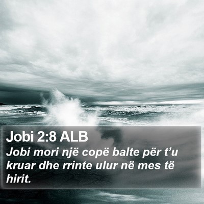 Jobi 2:8 ALB Bible Verse Image