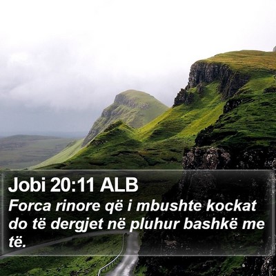 Jobi 20:11 ALB Bible Verse Image
