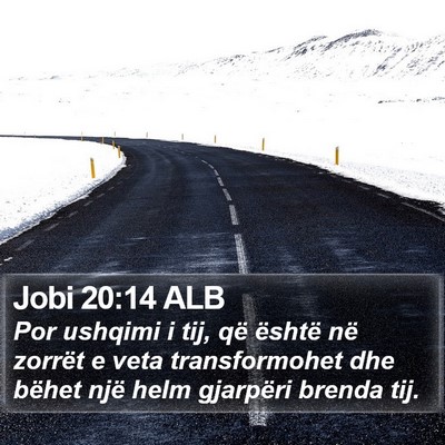 Jobi 20:14 ALB Bible Verse Image