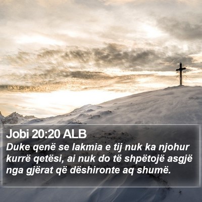 Jobi 20:20 ALB Bible Verse Image