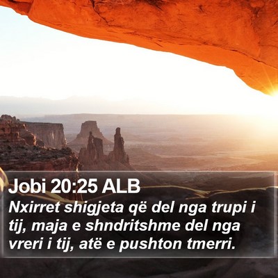 Jobi 20:25 ALB Bible Verse Image