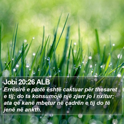 Jobi 20:26 ALB Bible Verse Image