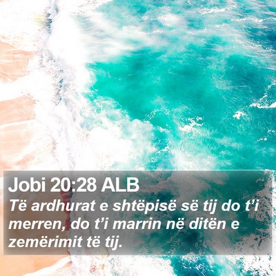 Jobi 20:28 ALB Bible Verse Image