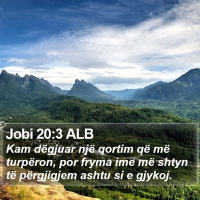 Jobi 20:3 ALB Bible Verse Image