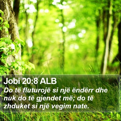 Jobi 20:8 ALB Bible Verse Image