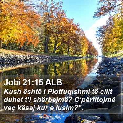 Jobi 21:15 ALB Bible Verse Image
