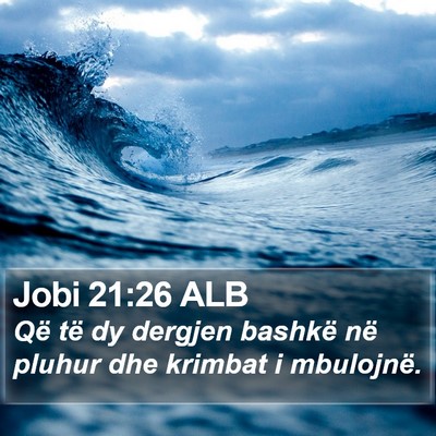 Jobi 21:26 ALB Bible Verse Image
