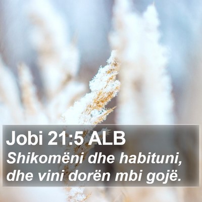 Jobi 21:5 ALB Bible Verse Image