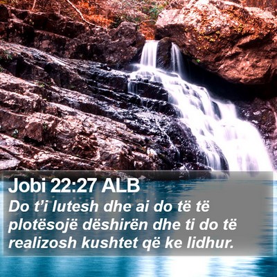 Jobi 22:27 ALB Bible Verse Image