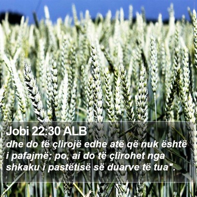 Jobi 22:30 ALB Bible Verse Image