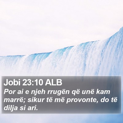 Jobi 23:10 ALB Bible Verse Image