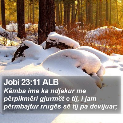 Jobi 23:11 ALB Bible Verse Image