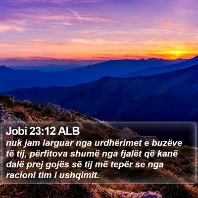 Jobi 23:12 ALB Bible Verse Image