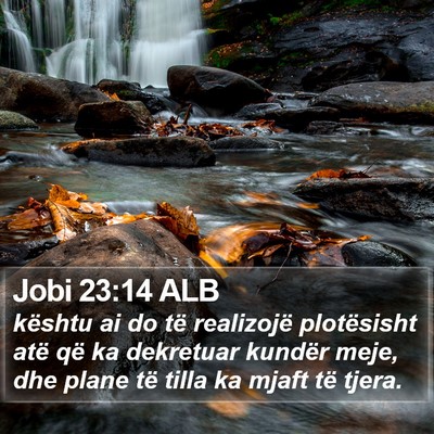 Jobi 23:14 ALB Bible Verse Image