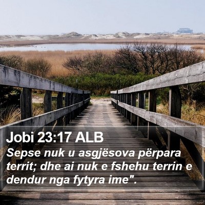Jobi 23:17 ALB Bible Verse Image