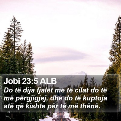Jobi 23:5 ALB Bible Verse Image