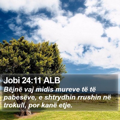 Jobi 24:11 ALB Bible Verse Image