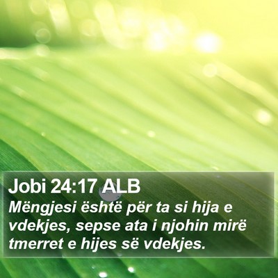 Jobi 24:17 ALB Bible Verse Image