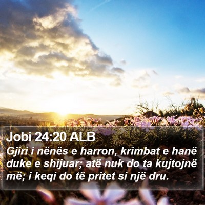 Jobi 24:20 ALB Bible Verse Image