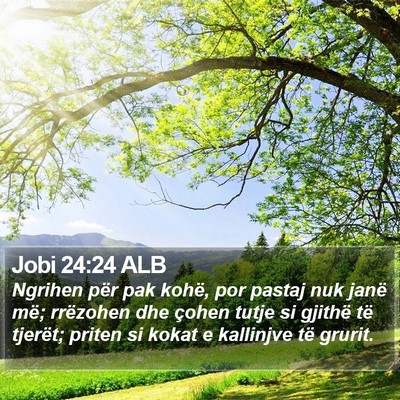 Jobi 24:24 ALB Bible Verse Image