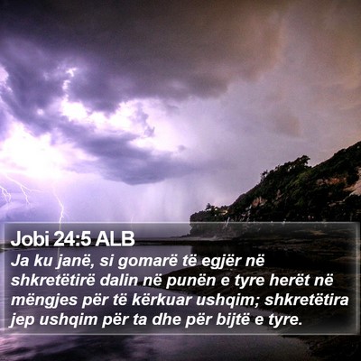 Jobi 24:5 ALB Bible Verse Image