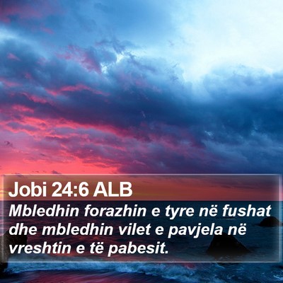 Jobi 24:6 ALB Bible Verse Image