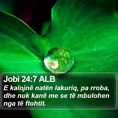Jobi 24:7 ALB Bible Verse Image