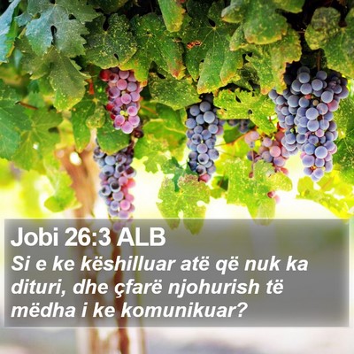 Jobi 26:3 ALB Bible Verse Image