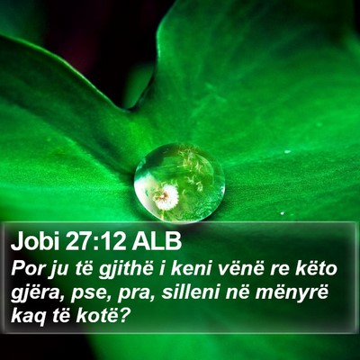 Jobi 27:12 ALB Bible Verse Image
