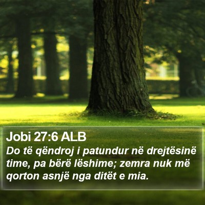 Jobi 27:6 ALB Bible Verse Image