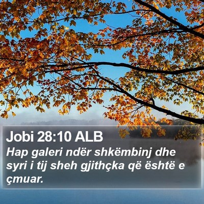Jobi 28:10 ALB Bible Verse Image