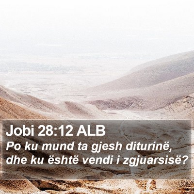 Jobi 28:12 ALB Bible Verse Image