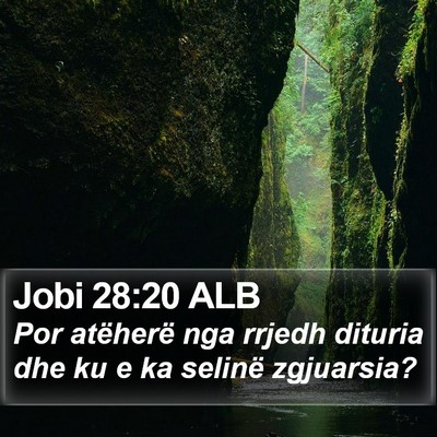 Jobi 28:20 ALB Bible Verse Image